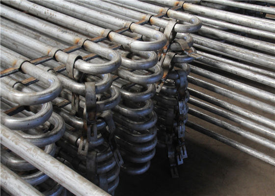 Bobina/GRADO industriales del ahorrador un tubo del cambiador de calor del acero inoxidable