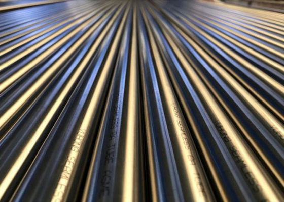 La industria petrolera recoció el tubo/el acero de carbono recocido del tubo corrosión anti del PESO de 3 - de 20m m