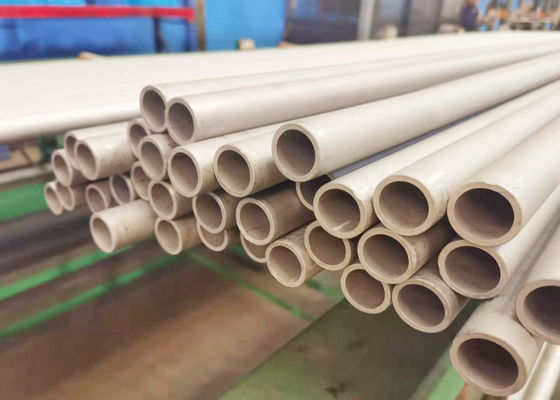 tubo sin soldadura de los Ss 304 secundarios del sobrecalentador de 6m m para el incinerador inútil MSWI