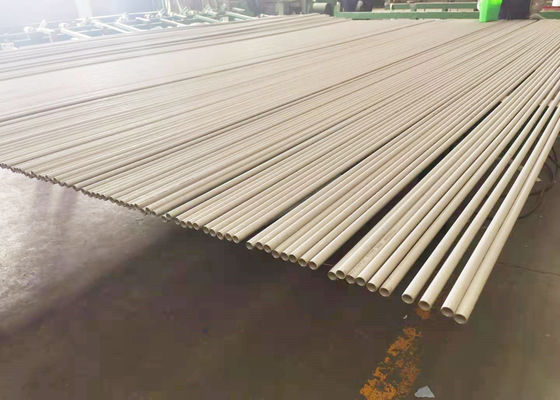 tubo sin soldadura de los Ss 304 secundarios del sobrecalentador de 6m m para el incinerador inútil MSWI