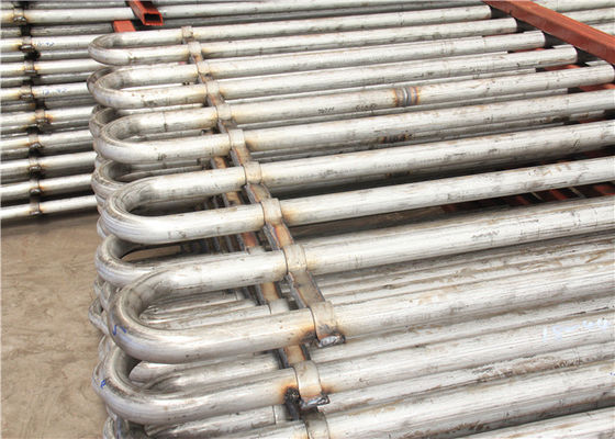 Bobina/GRADO industriales del ahorrador un tubo del cambiador de calor del acero inoxidable
